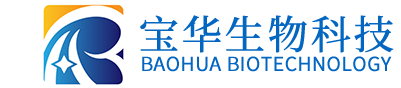 开云app登录入口
